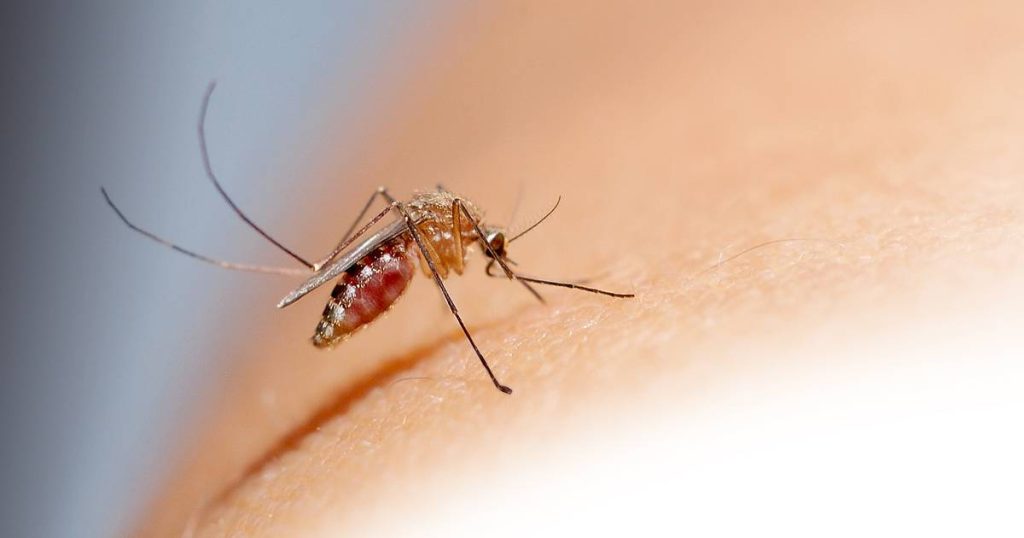 Nuevo tratamiento para la malaria en bebés